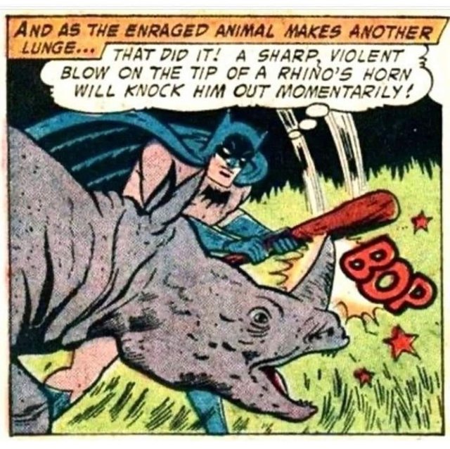 makes-another-lunge-did-sharp-violent-blow-on-tip-rhinos-horn-will-knock-him-out-momentarily-bop.jpg