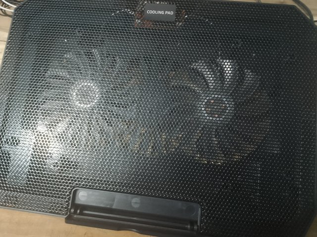 1000046574.jpg