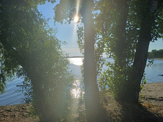 20250716_070901.jpg