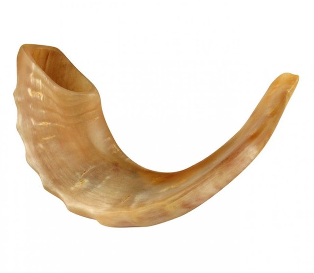 Medium-Rams-Horn-Shofar--Polished+85-4063-920x800.jpg