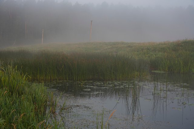 DSC02390.jpg