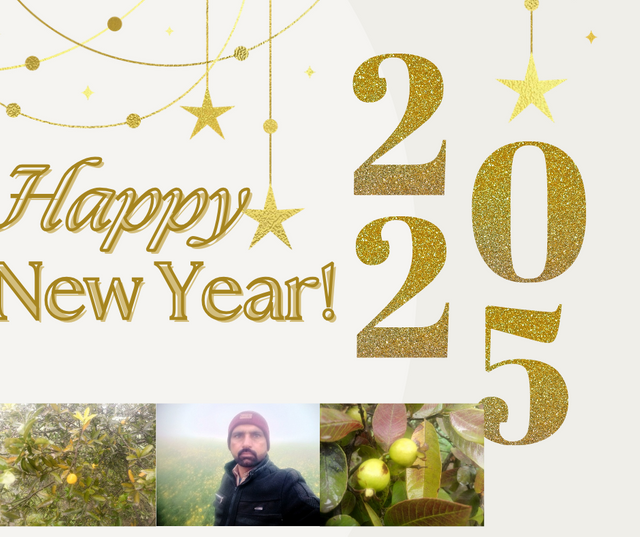 Cream Gold Elegant Minimalist New Year Greetings Facebook Post_20250102_131933_0000.png