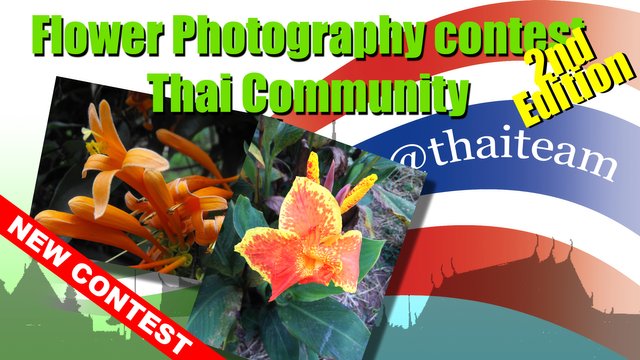 flower second contest Photography.jpg