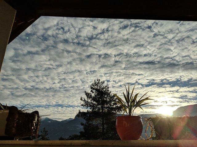 IMG_20190207_083641.jpg