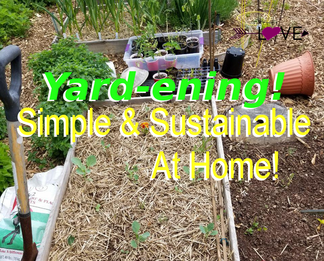 Yardening Home Garden DIY Easy Sustainability ARTOFLOVE IntuitiveJakob Martinez.png