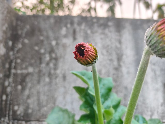 1000013633.jpg
