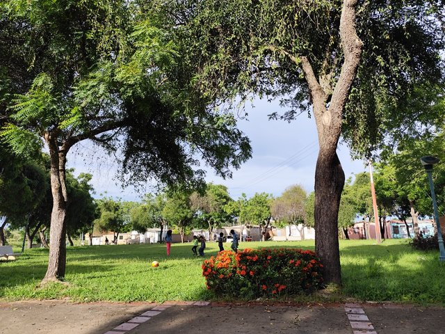 IMG_20250803_165255.jpg