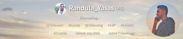 randula banner org.png