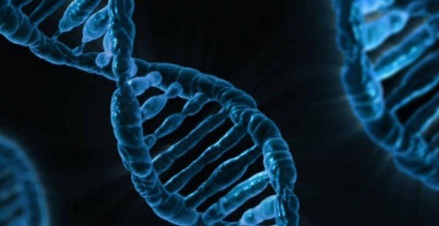ADN y ARN diferencias.jpg