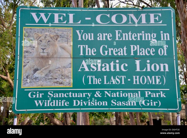 picture-of-an-asiatic-lion-on-a-sign-at-the-entrance-to-the-gir-national-DGHT2E.jpg