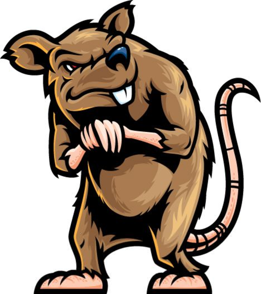 15162952511518966411dirty-rat-clipart.hi.png