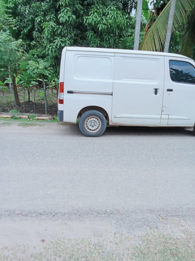 1000082680.jpg