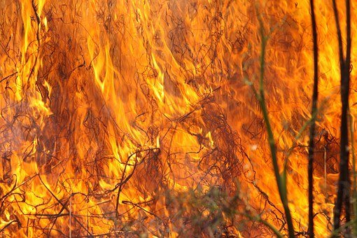 grassfire pixabay.jpg