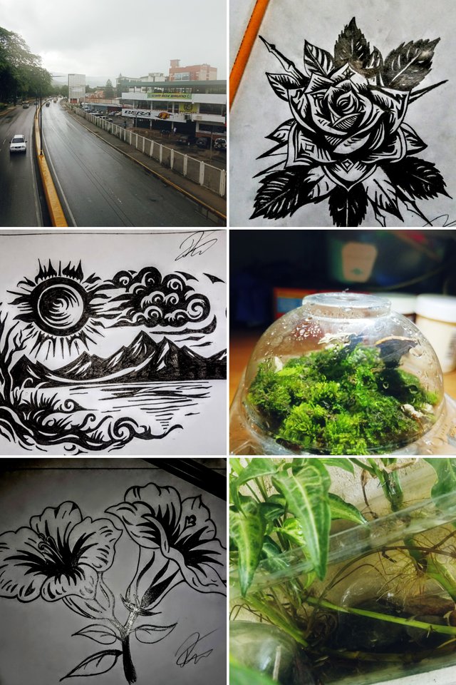 20250607_171114-COLLAGE.jpg