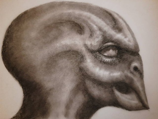 20250826_110140.jpg