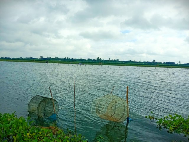 IMG_20250626_184350.jpg