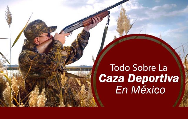 Caza-deportiva-en-México.jpg