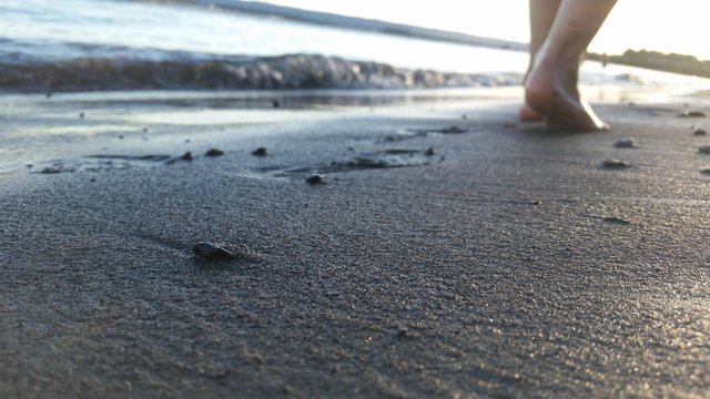 feet-3574361_1280.jpg