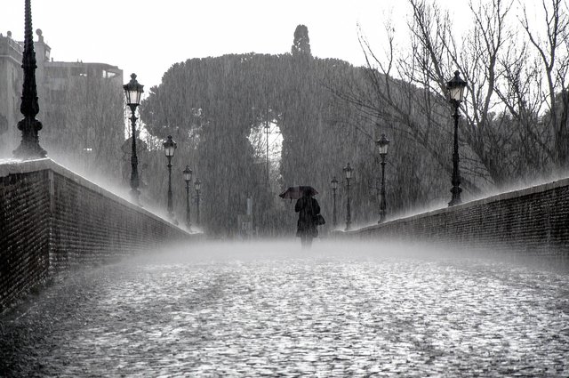 rain-275317_1280.jpg