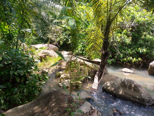 IMG_20220404_125528_369.jpg
