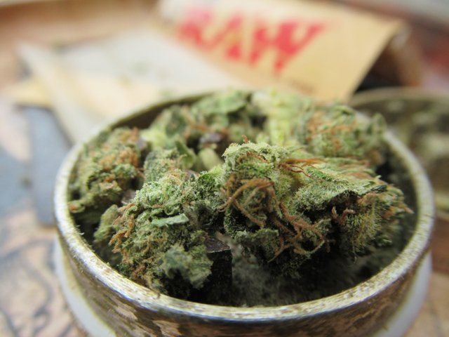 grindercloseup.jpg