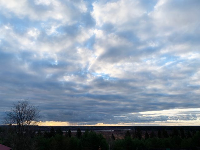 20211023_042847645_iOS.jpg