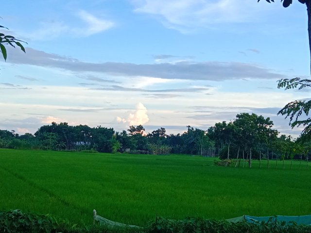 IMG_20250914_093953.jpg