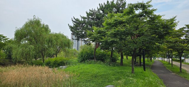 KakaoTalk_20250801_022604629_09.jpg
