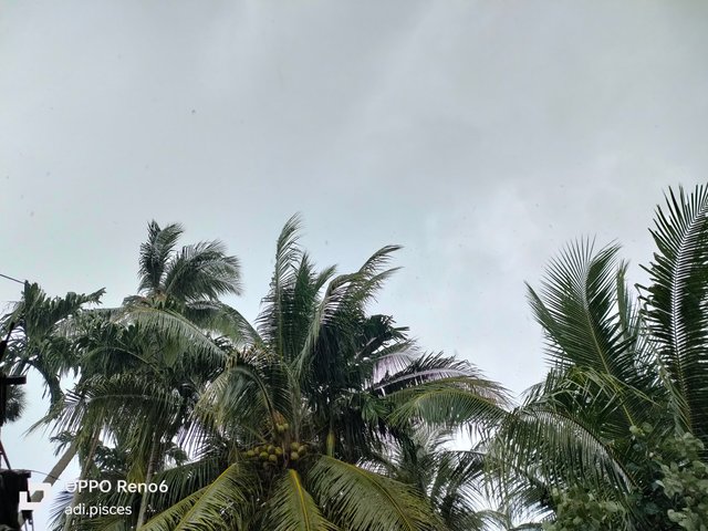 IMG20250716150652.jpg