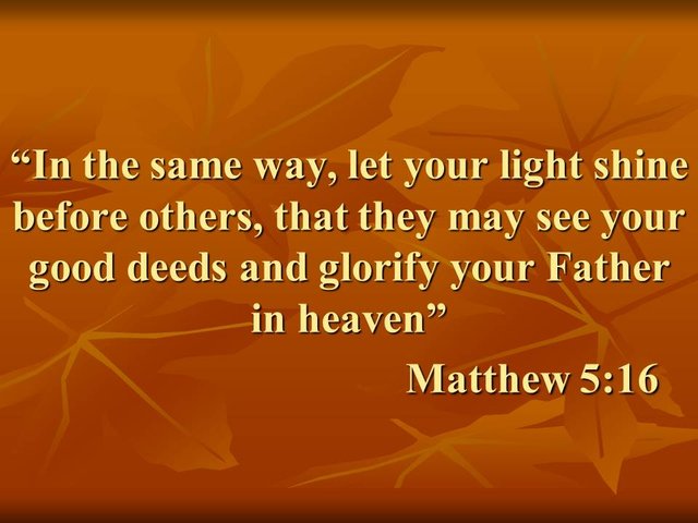 Jesus said. In the same way, let your light shine before others, that they may see your good deeds and glorify your Father in heaven..jpg