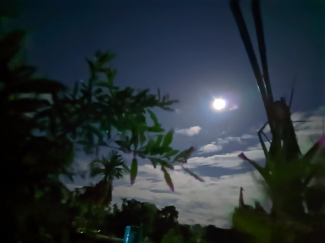 1000028188.jpg