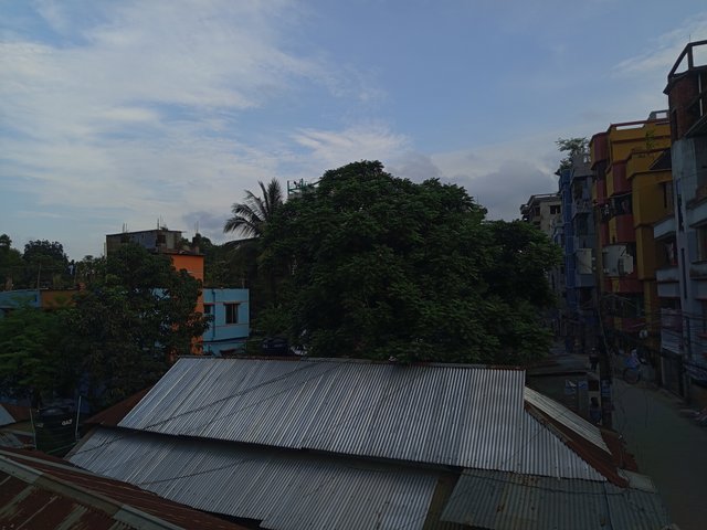 1000010594.jpg