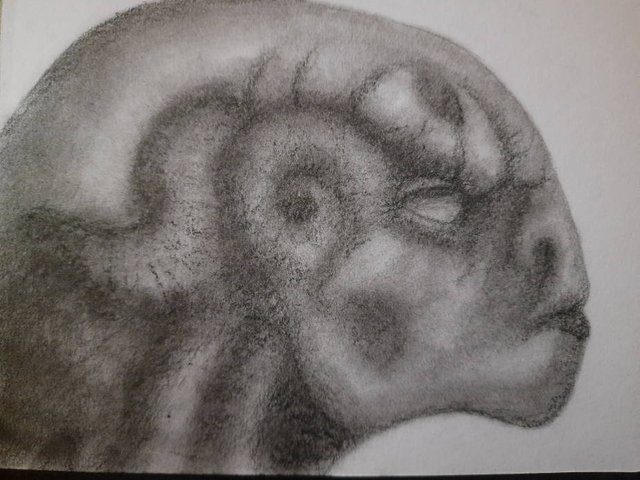 20250504_103939.jpg
