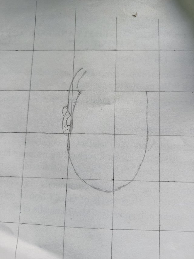 1000168746.jpg