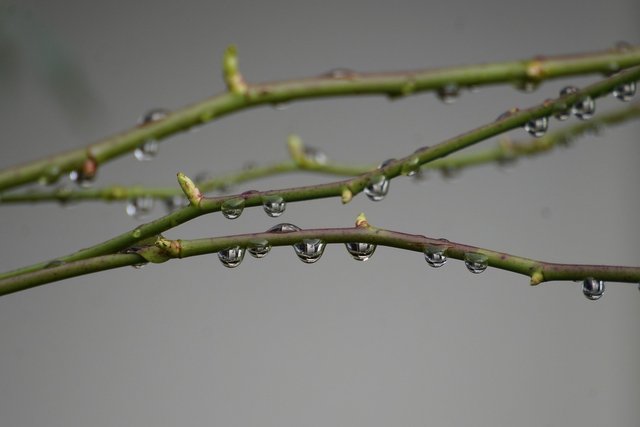 water-drops-g6af62f0d3_1920.jpg