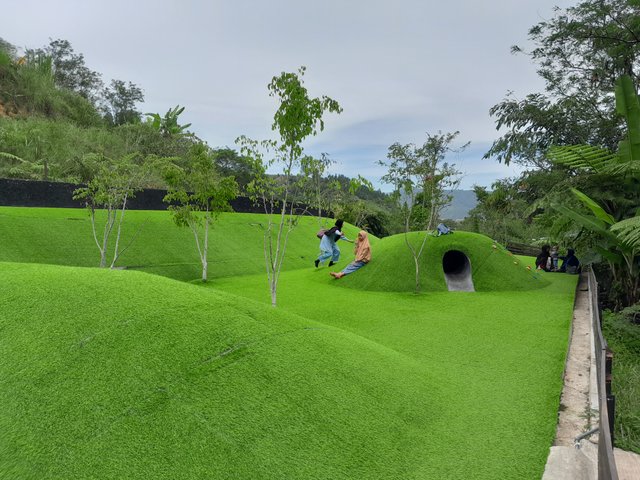 1000381945.jpg
