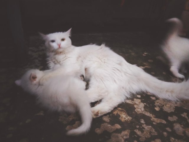 IMG20250521093925.jpg