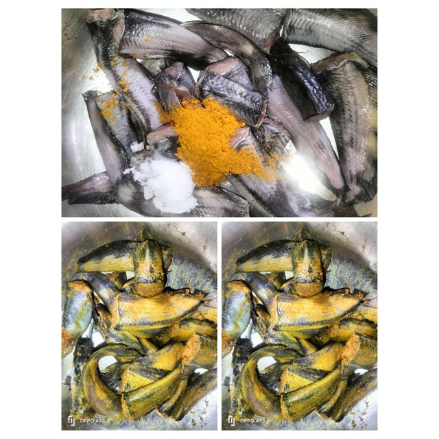 PhotoCollage_1747478301208.jpg