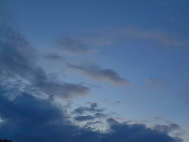 1000084071.jpg