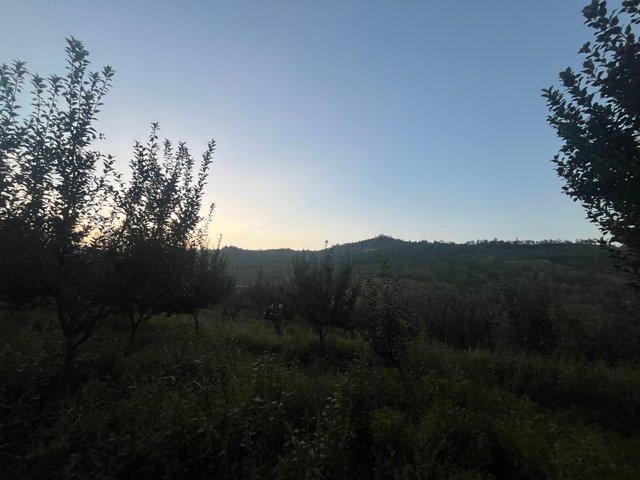 IMG_4971.jpeg