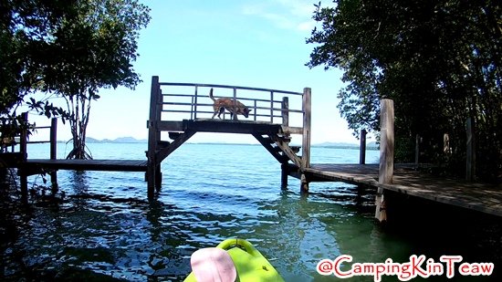 ST-พายเรือคายัค-คุ้งกระเบน-08.jpg