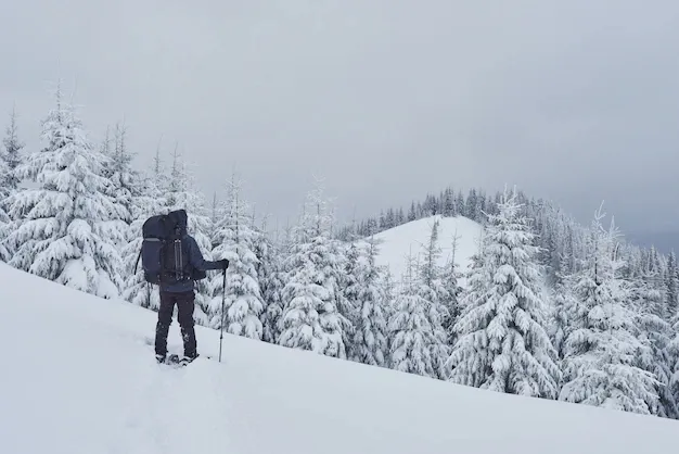 hiker-with-backpack-is-climbing-mountain-range-admires-snow-capped-peak-epic-adventure-winter-wilderness_146671-15231.webp