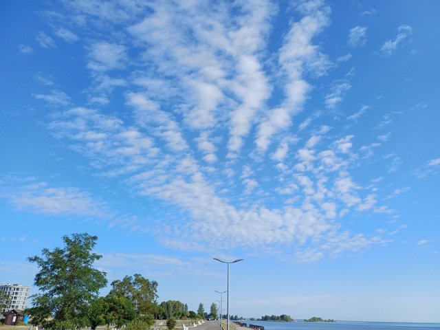 20250809_082212.jpg