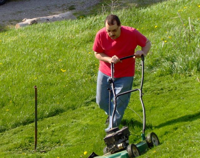 Conservative Lawn mower leaning.jpg