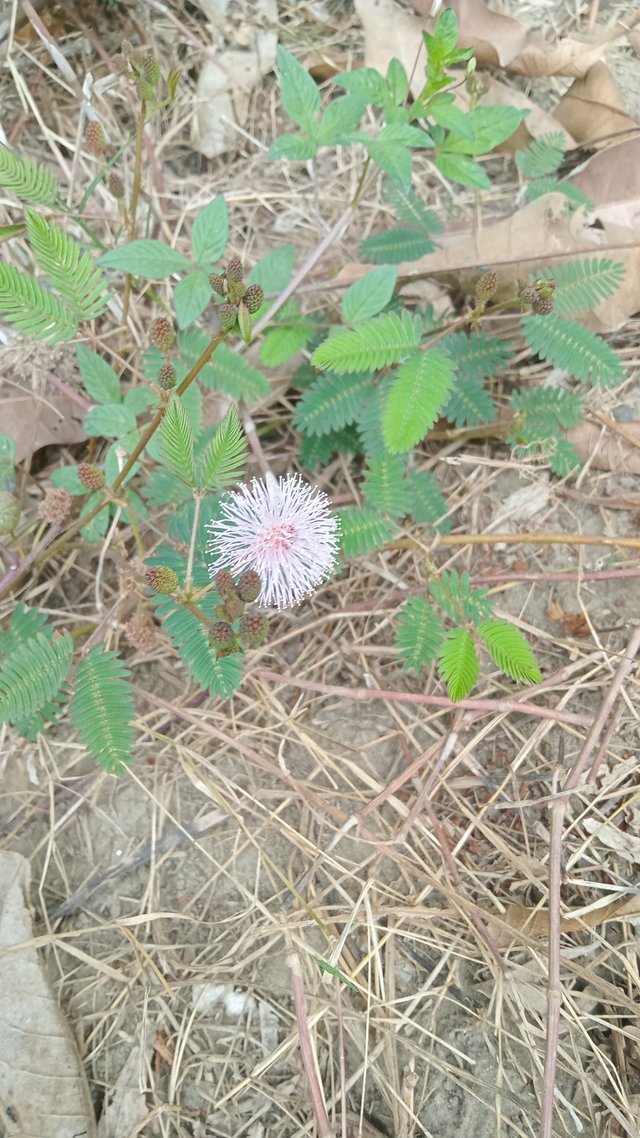 IMG20250303112228.jpg