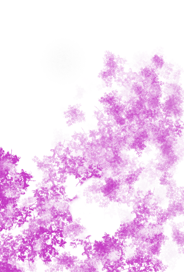 HiPaint_1754336403634.png