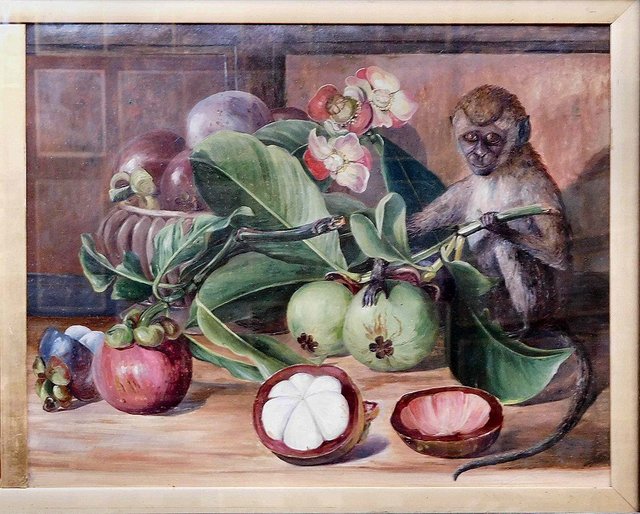 1024px-Flowers_and_fruit_of_the_mangosteen,_and_Singapore_monkey,_by_Marianne_North.jpg