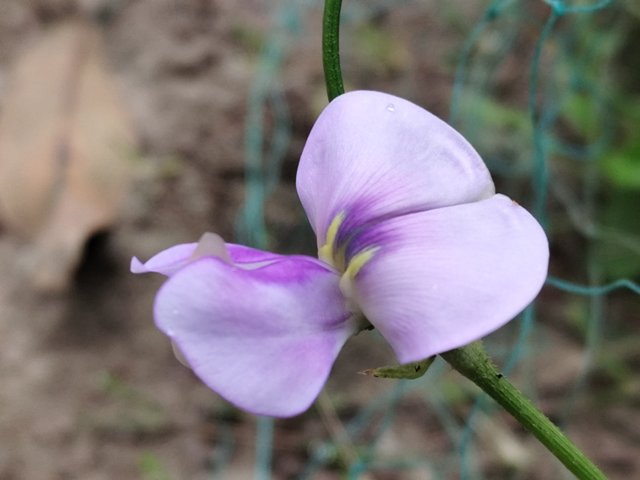 IMG_20250318_081900.jpg
