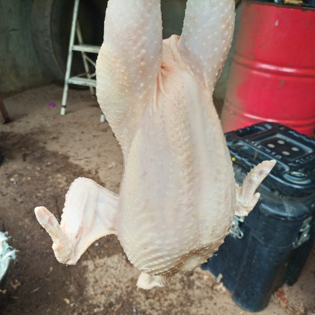 IMG_20250607_105546_434.jpg
