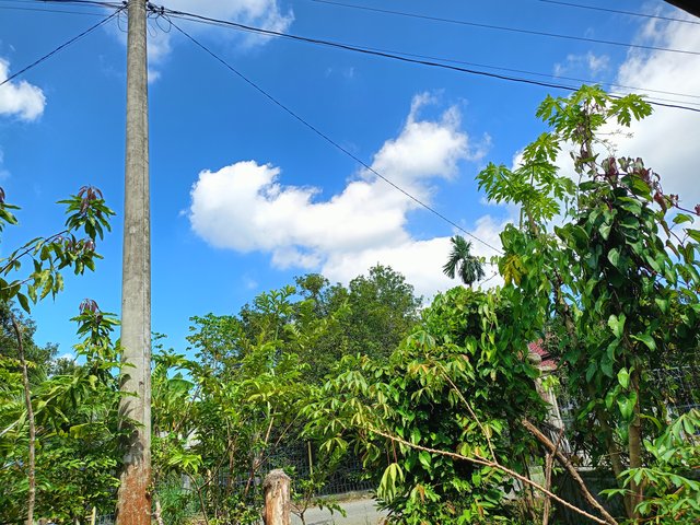 IMG20250920102255.jpg